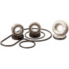 REPAIR KIT WATER PUMP SUZ - 09342959