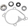 REPAIR KIT WATER PUMP KAW - 09344046 - Dr Rider