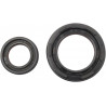 SEALS CRANK YFZ350 - 09350069 - Dr Rider