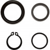 SEAL OUTPUT SHAFT OSK0051 - 09350566 | Dr Rider