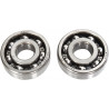 COUNTER BALANCER KAW/SUZ - 09500549 - Dr Rider