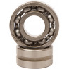 COUNTER BALANCER YAM - 09500555 | Dr Rider