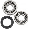 COUNTER BALANCER HON - 09500908 | Dr Rider