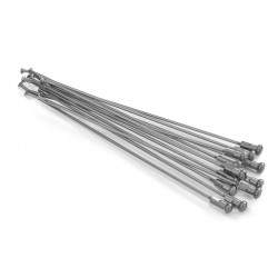 SPOKES 21 FR SI /SI NIP 12PC - 02110142