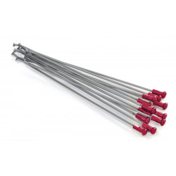 SPOKES 21FR SI /RE NIP 12PC - 02110144