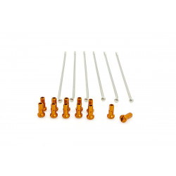 SPOKES 19 RR SI /OR NIP 12PC - 02110152