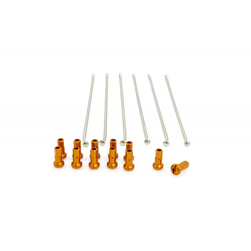 SPOKES 19 RR SI /OR NIP 12PC - 02110152