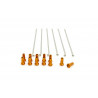 SPOKES 19 RR SI /OR NIP 12PC - 02110152