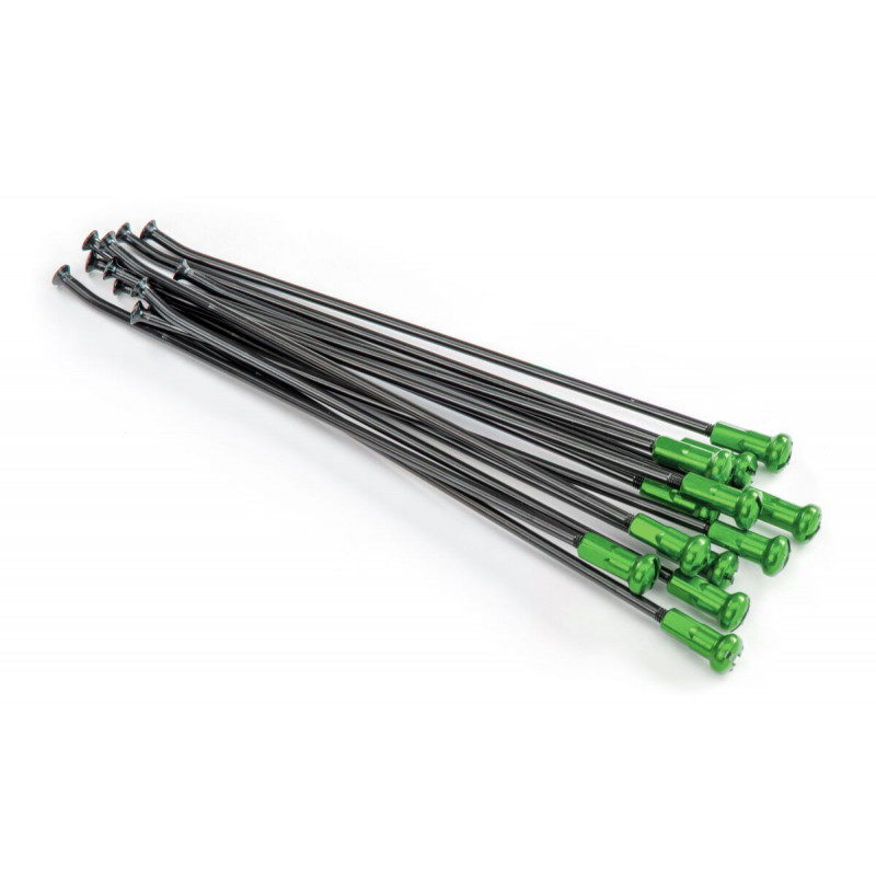 SPOKES 19 RR BK/GN NIP 12PC - 02110156