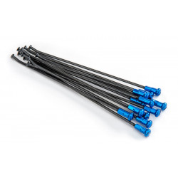 SPOKES 19 RR BK / BL NI 12PC - 02110157
