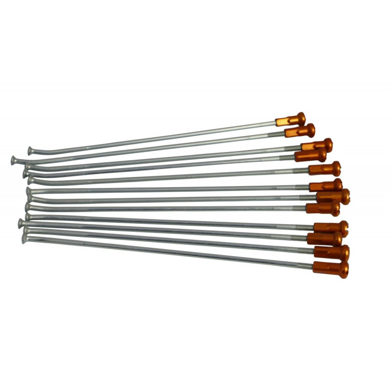 SPOKES 18 RR SI/OR NIP - 02110224