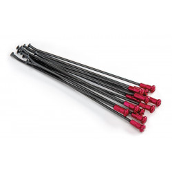 SPOKES 18 RR BK/RO NIP - 02110230
