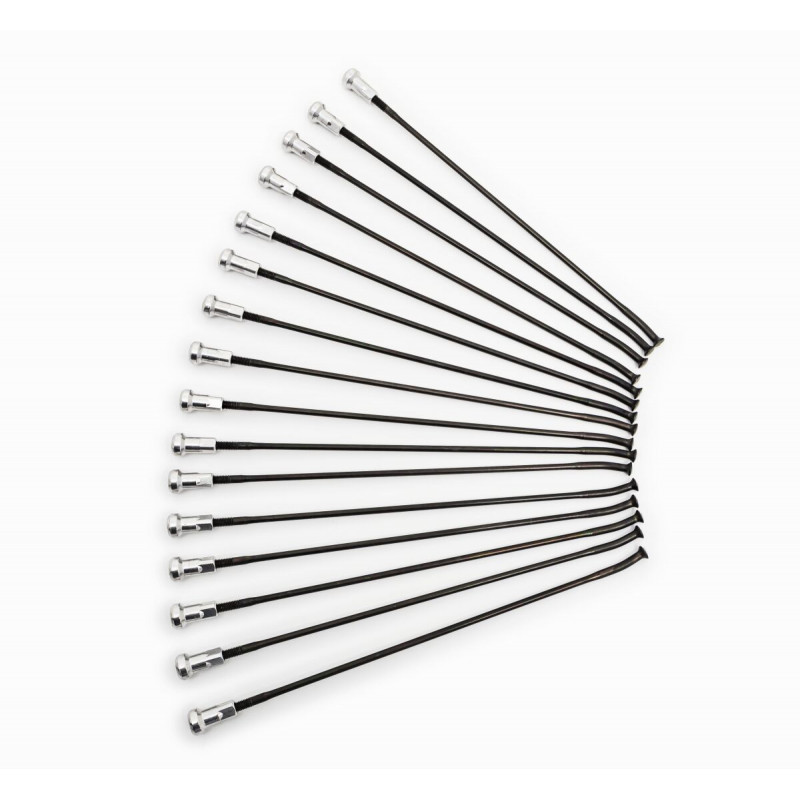 SPOKES 19 FR BK/SI 16PC - 02110232