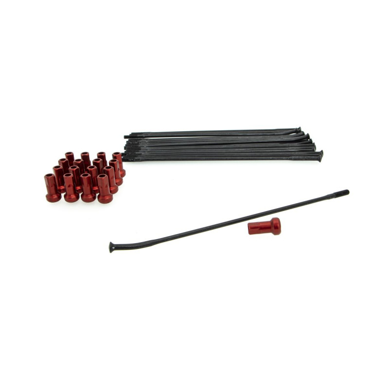 SPOKE KIT FR 17 BK/RD - 02110245
