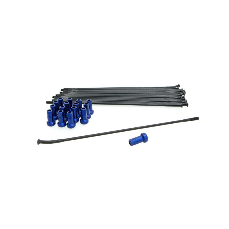 SPOKE KIT FR 19 BK/BL - 02110247