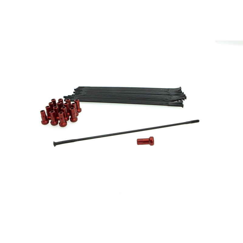 SPOKE KIT FR 19 BK/RD - 02110248