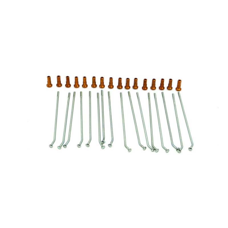 SPOKE KIT RR 12 SIL/OR - 02110256