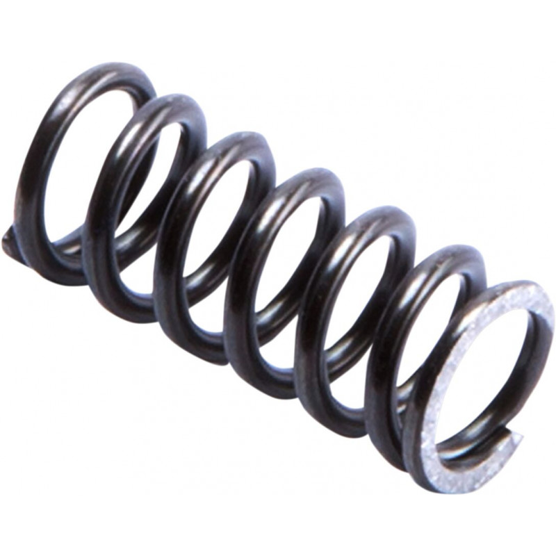 SPRG IN RBND PIST ROD FF  - 04051022