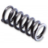SPRG IN RBND PIST ROD FF  - 04051022