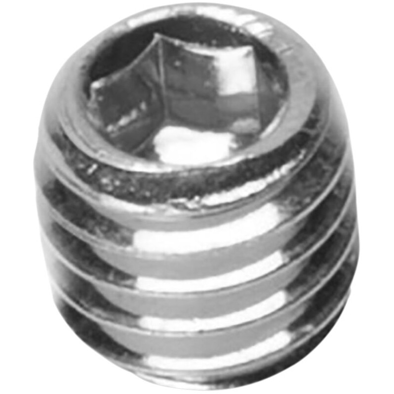 FF SCREW M6X6 - 04500452 | Dr Rider