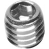 FF SCREW M6X6 - 04500452 | Dr Rider