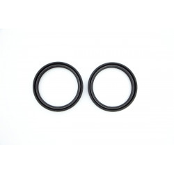 OIL SEAL SET FF 48MM WP  - 04500640