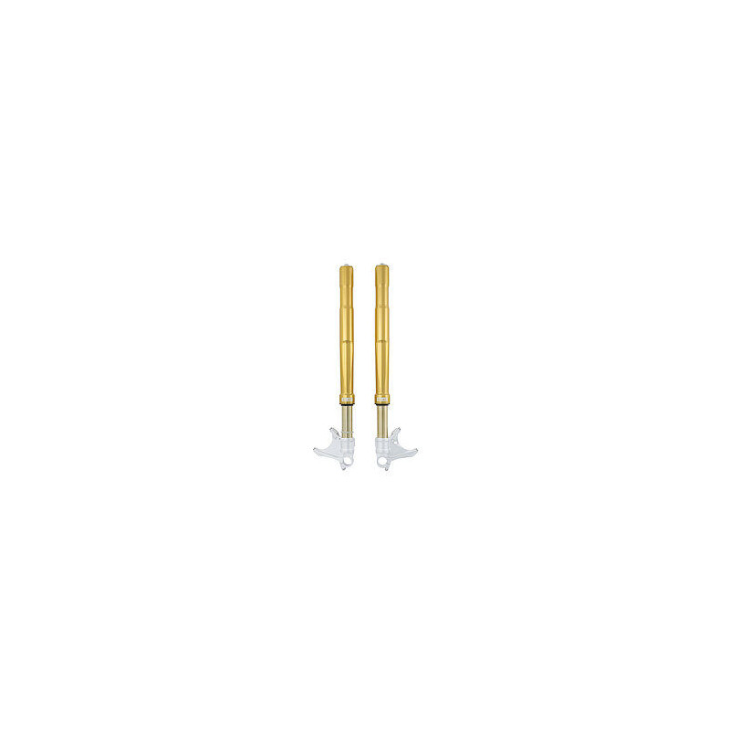 FORK BMW S/M1000 RR FGRT200 FG - 04020009 | Dr Rider