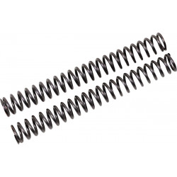 FF SPRING KIT 25.5/300/9.0-FKS - 04051069 | Dr Rider