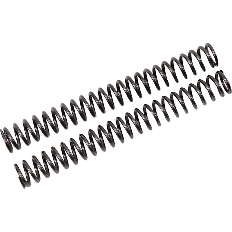 FF SPRING KIT 25.5/300/9.0-FKS - 04051069 | Dr Rider