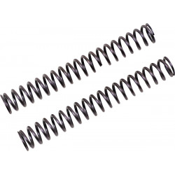FF SPRING KIT 25.5/260/8.5 - 04051070 | Dr Rider
