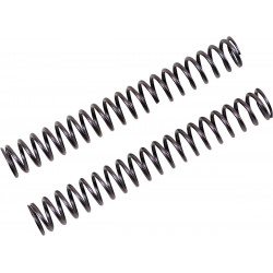 FF SPRING KIT 25.5/260/8.5 - 04051070 | Dr Rider