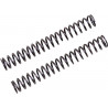 FF SPRING KIT 25.5/260/8.5 - 04051070 | Dr Rider