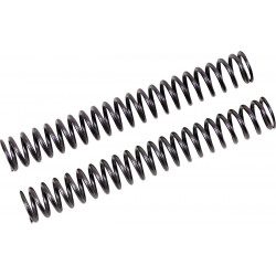 FF SPRING KIT 25.5/260/9.0 - 04051071 | Dr Rider