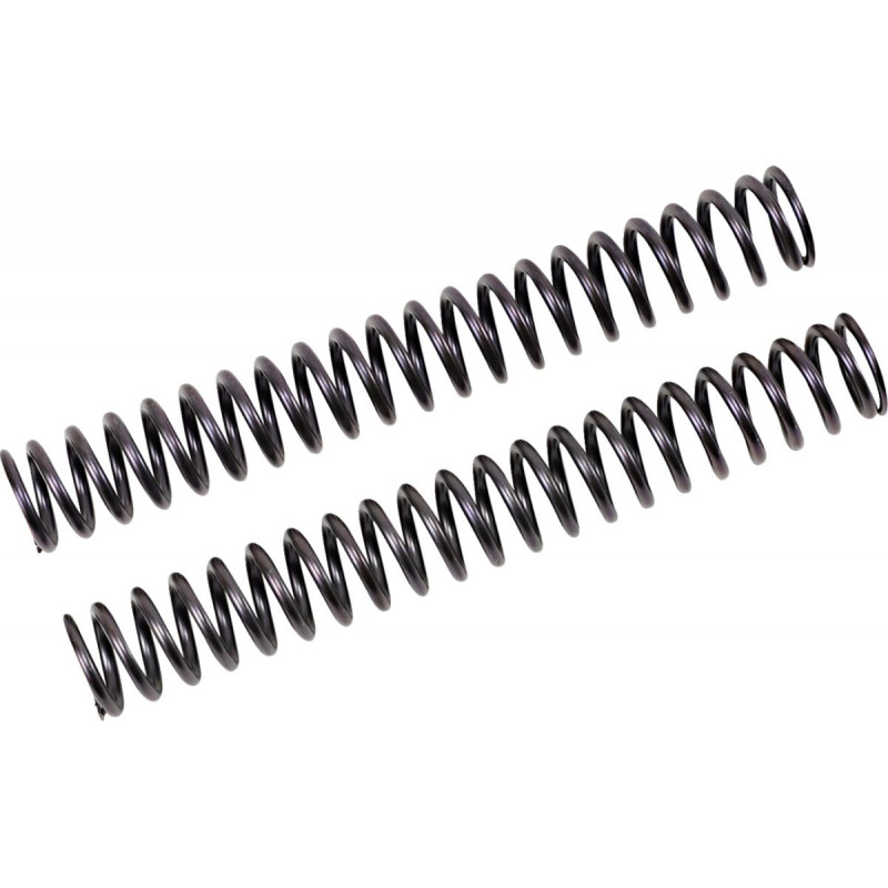 FF SPRING KIT 25.5/260/9.0 - 04051071 | Dr Rider