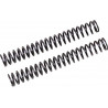 FF SPRING KIT 25.5/260/9.0 - 04051071 | Dr Rider