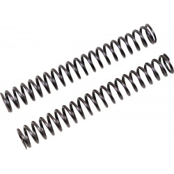 FF SPRING KIT 25.5/260/9.5 - 04051072 | Dr Rider