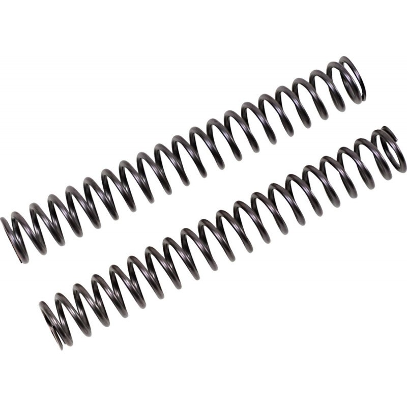FF SPRING KIT 25.5/260/9.5 - 04051072 | Dr Rider
