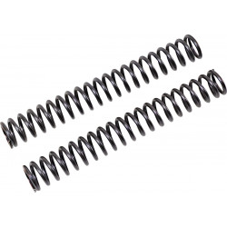 FF SPRING KIT 25.5/260/10.0 - 04051073 | Dr Rider