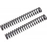 FF SPRING KIT 25.5/260/10.0 - 04051073 | Dr Rider