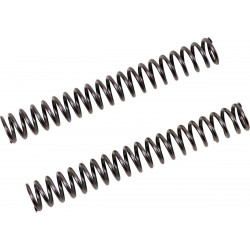 FF SPRING KIT 25.5/260/10.5 - 04051074