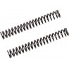 FF SPRING KIT 25.5/260/10.5 - 04051074