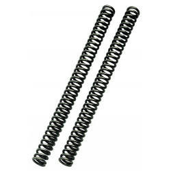FF SPRING KIT 43.6/467/4.9 - 04051334 | Dr Rider