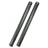 FF SPRING KIT 38.2/423/4.0 - 04051341 | Dr Rider