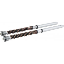 CARTRIDGE DUCATI NIX30 FGK 229 - 04130077 | Dr Rider