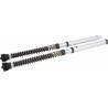 CARTRIDGE KAWASAKI Z900 NIX30S - 04130082 | Dr Rider