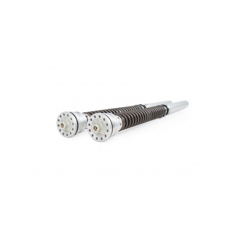 CARTRIDGE KAW. ZX-10R/RR SUZ.  - 04130184 | Dr Rider