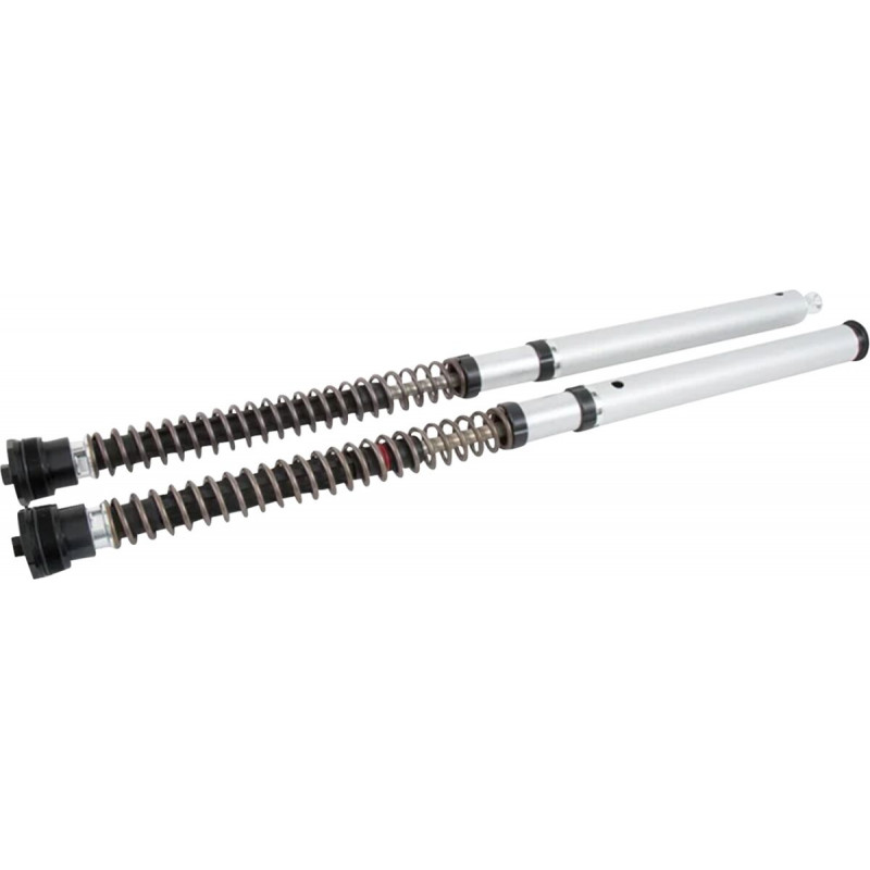 CARTRIDGE HARLEY-DAVIDSON CVO  - 04130186 | Dr Rider