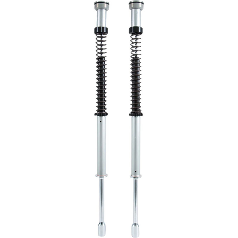 CARTRIDGE HARLEY-DAVIDSON FXD  - 04130188 | Dr Rider