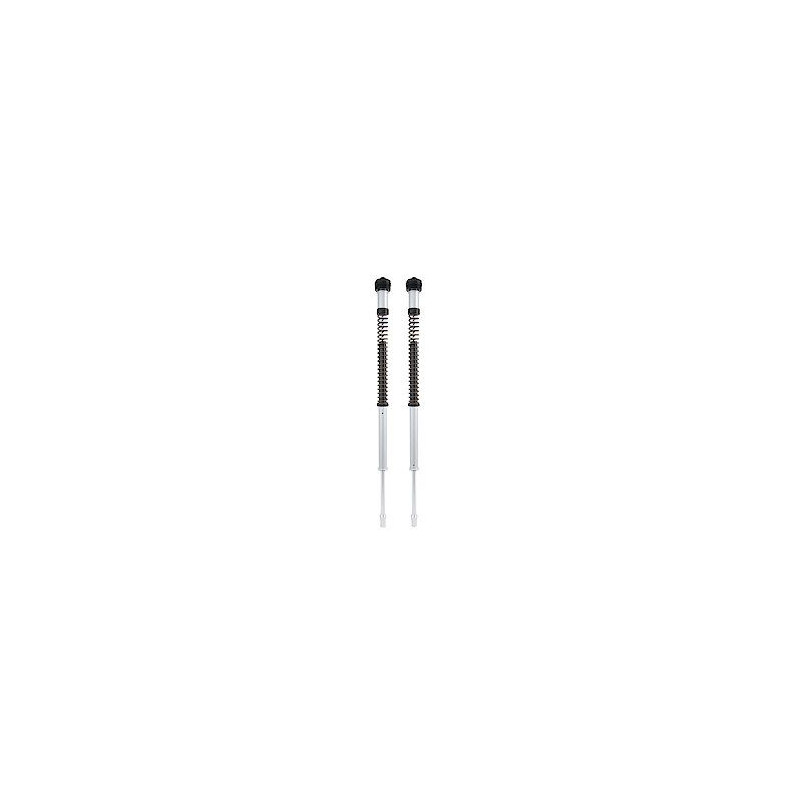 CARTRIDGE TRIUMPH BONNEVILLE T - 04130191 | Dr Rider