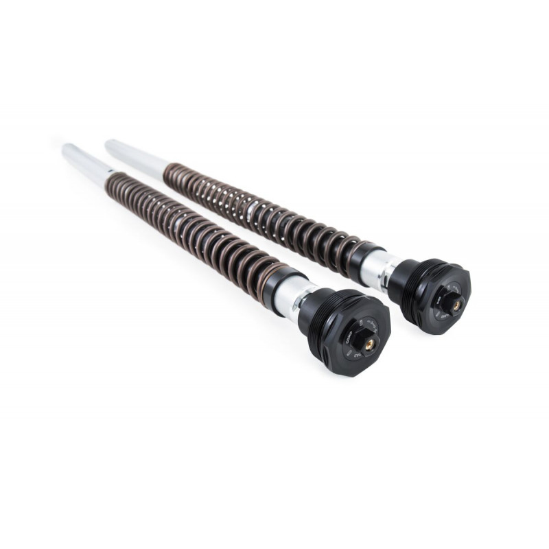 CARTRIDGE YAMAHA R9/YZF-R1 RAC - 04130194 | Dr Rider
